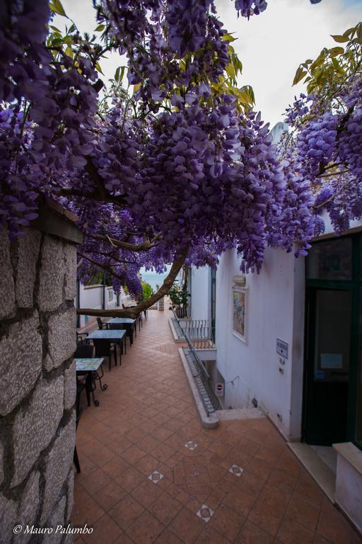 Hotel 4 Stagioni Capri Extérieur photo