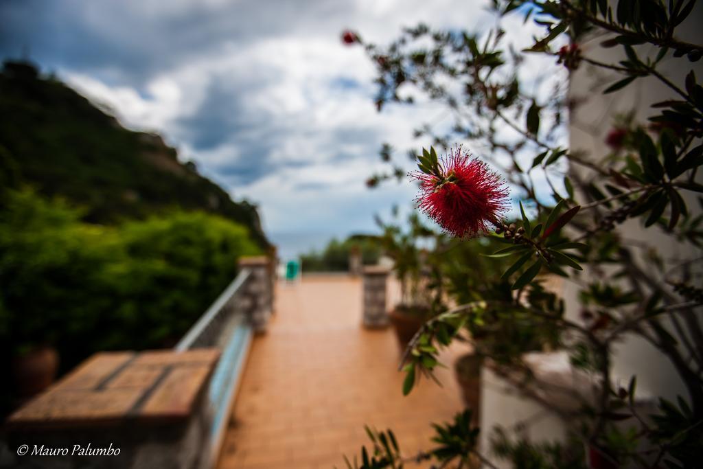Hotel 4 Stagioni Capri Extérieur photo