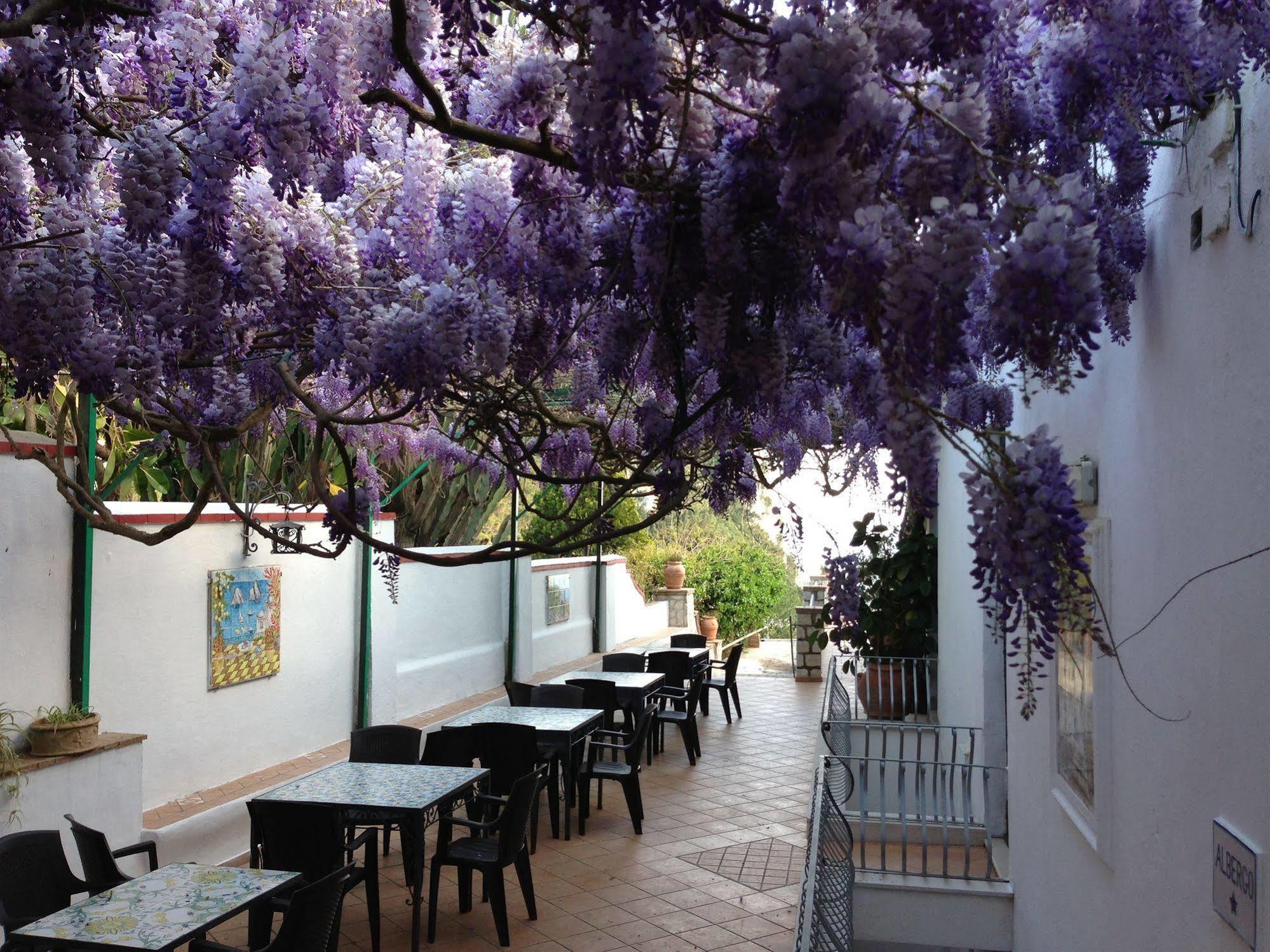 Hotel 4 Stagioni Capri Extérieur photo